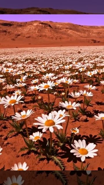 анимация нейросети