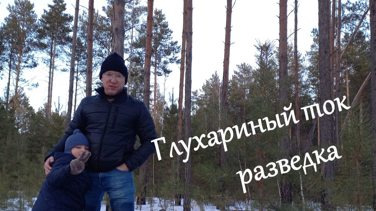 Глухариный ток, разведка