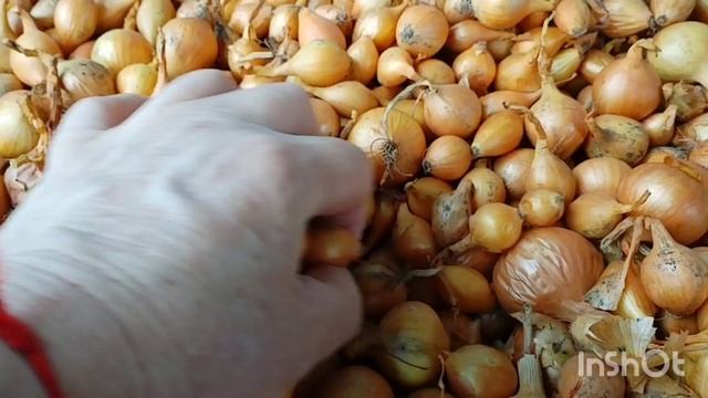 Погода изменилась /1.04.2026 /как живут в русской деревне..