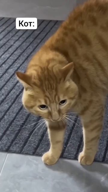 Поехали в деревню! Мотивация))