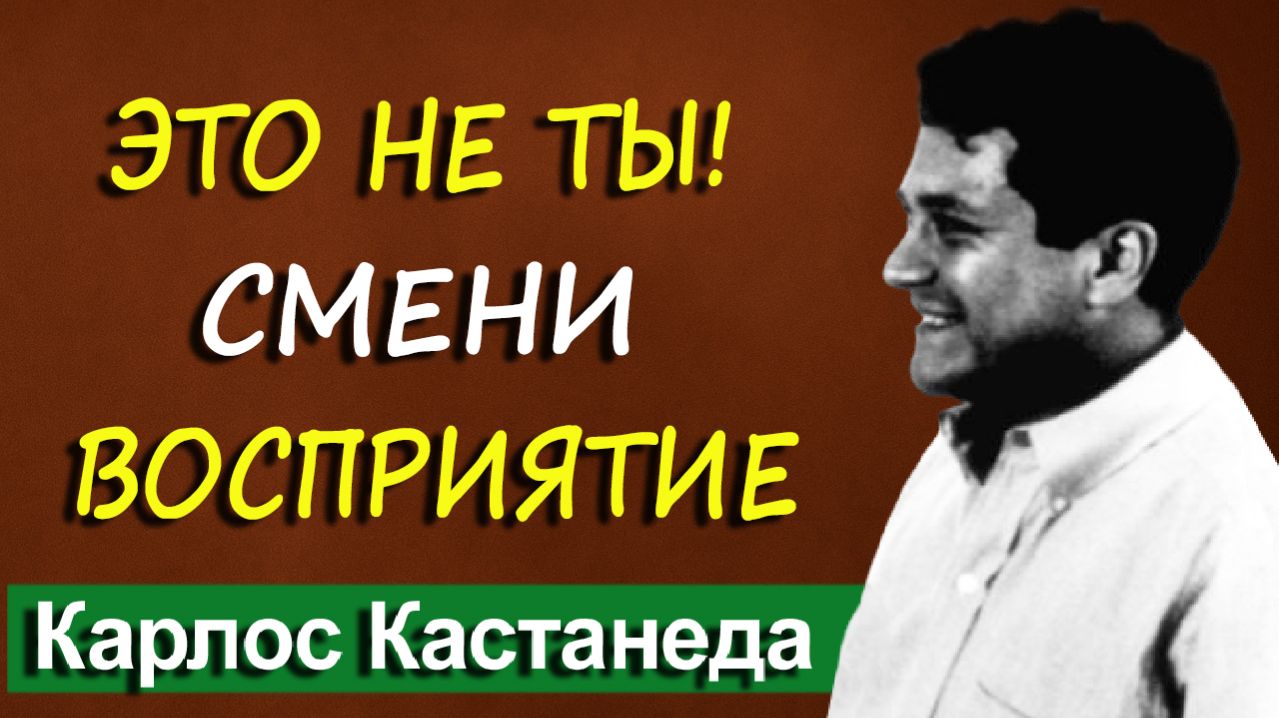 Твой разум тебе не принадлежит. Найди захватчика | Карлос Кастанеда