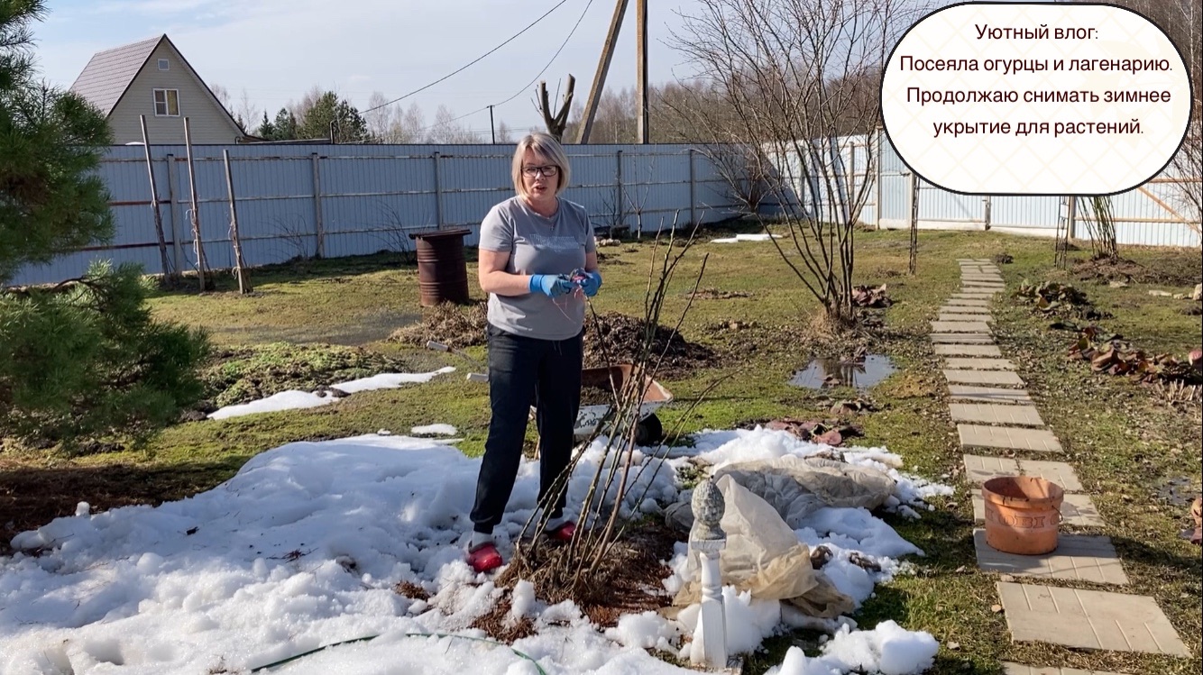 Уютный влог: Посеяла огурцы и лагенарию. Продолжаю снимать зимнее укрытие для растений.