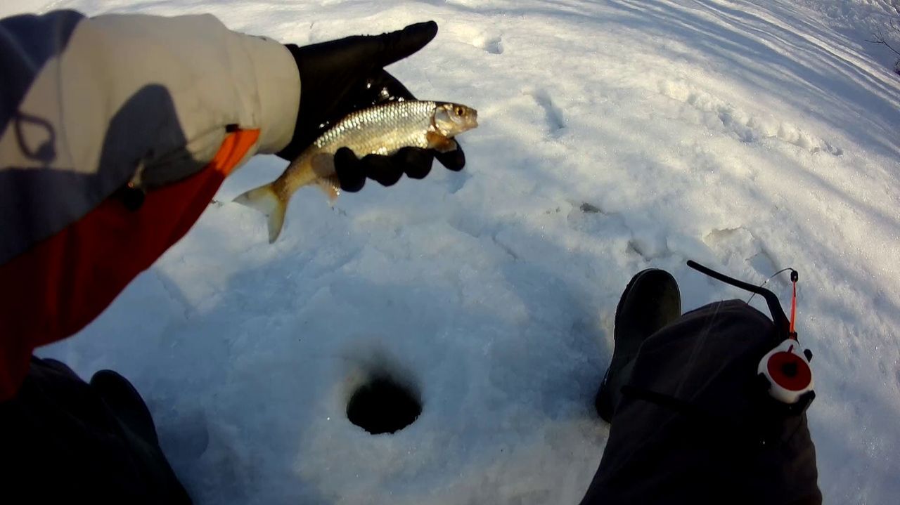 ЛОВЛЯ ЕЛЬЦА НА УДОЧКУ ЗИМОЙ