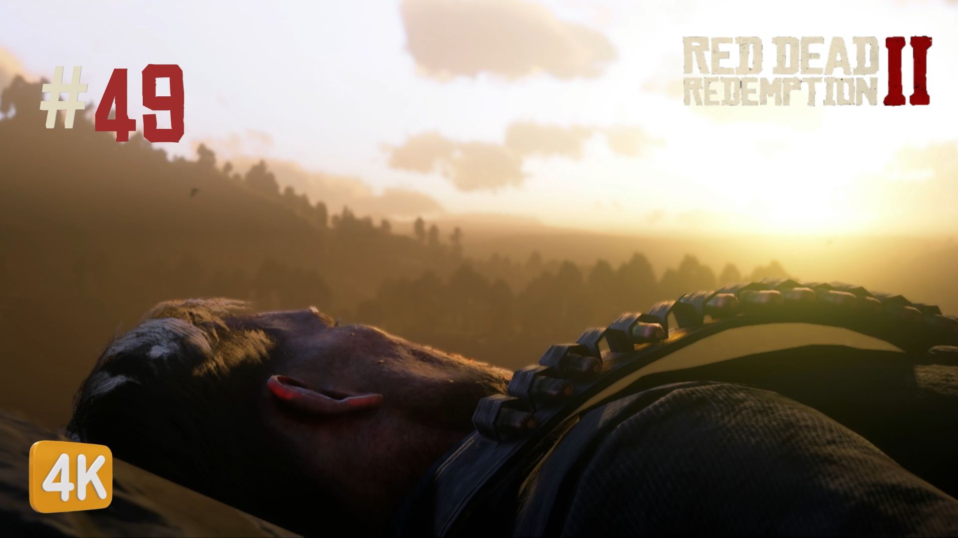 0a99e8d83f61129dd50a4f0932e9bebc