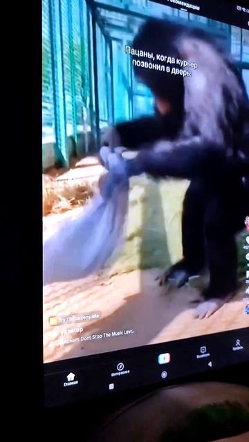 MOV_20260402_185429_687