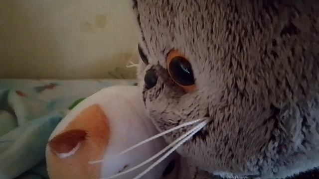 прогулка.-утро.часть.1🥥