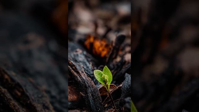 Небо, дай мне свет!