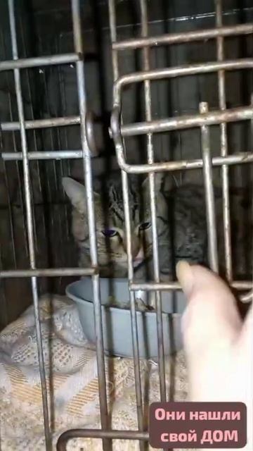 🏡Что есть на свете дороже всего? Дом,мама,дети-да,много чего.Бездомным тепло,еда и уют.Они нас ждут