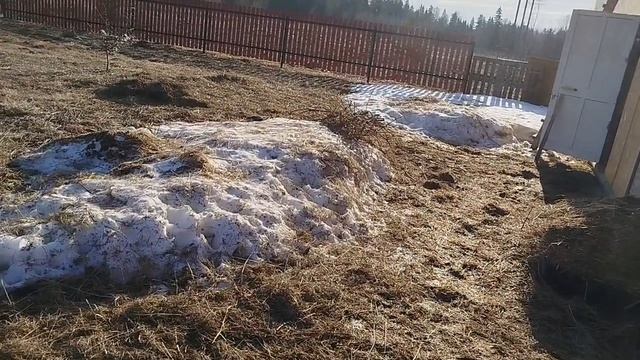 ЗАТРАТЫ НА ВЫРАЩИВАНИЕ ТЕЛЯТ ЗА ОДИН МЕСЯЦ