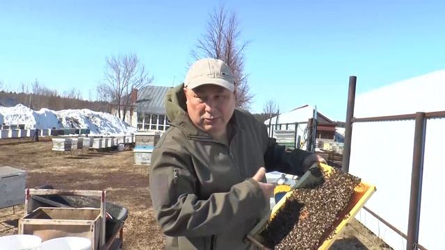 Агроном, который нашел себя в пчеловодстве
