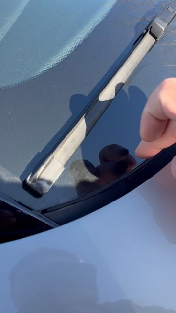 Пушка-гонка