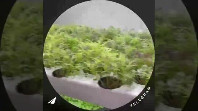 Виталий Отзыв 1