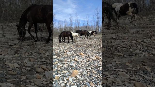 Открыли сезон