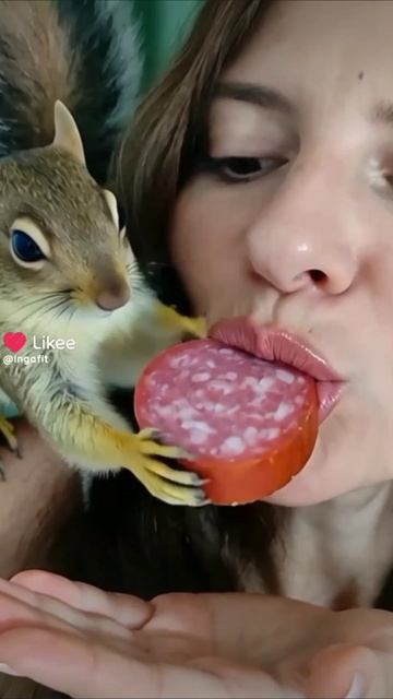 Белочка🐿️🤗🥰