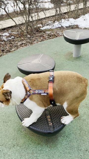 Тренировка