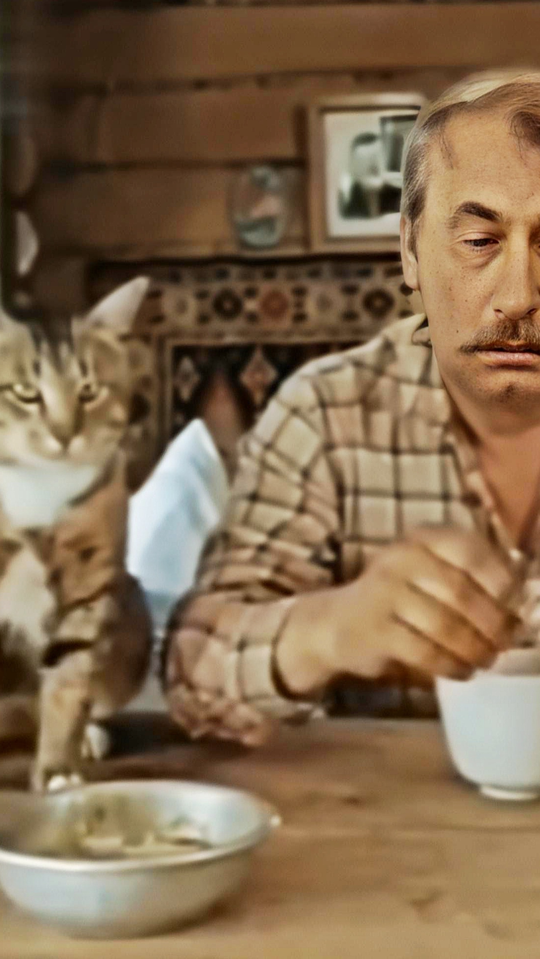 Когда даже коты играют талатливее, чем некоторые современные актеры 😸