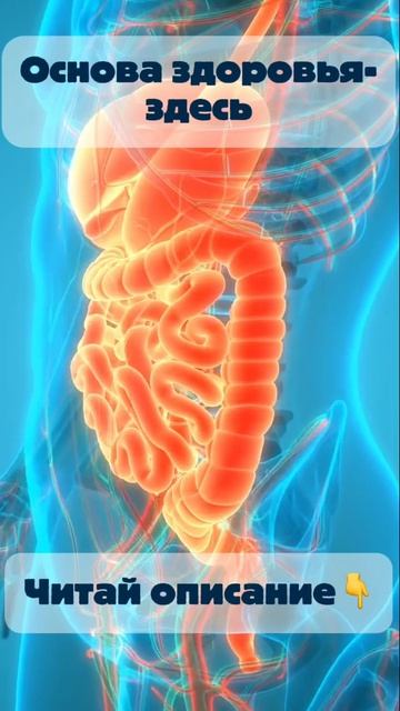 00054350be099c64cd6637da0f10c4ee