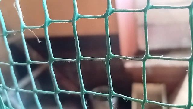 К нам так приходит весна🐰🐰. Начинаем потихоньку уборку.