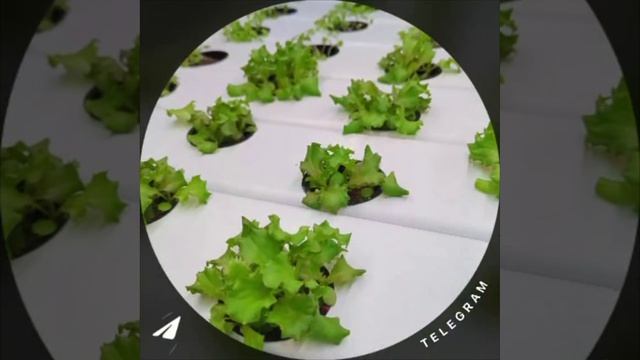 Виталий Отзыв 2