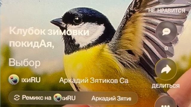 «Выбор» не забывай синицу отпуская, не все поймают журавля