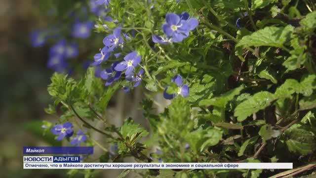 Информационный выпуск Майкопского телевидения 2.04.26