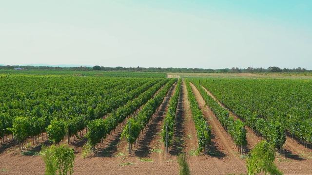 УСАДЬБА АЛЕКСАНДРОВСКАЯ