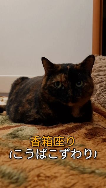 Кобакодзувари