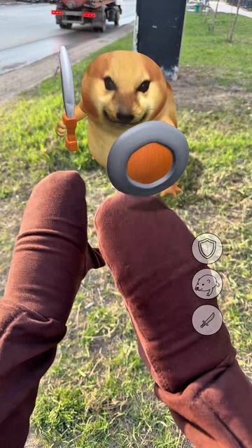 Наглядно: как работают препараты для защиты от клещей⤴️