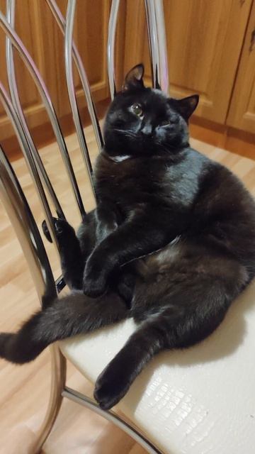 464460d05ee5b6ca17831e749b0883ea