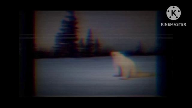 Медведь 2026 [СБСН]