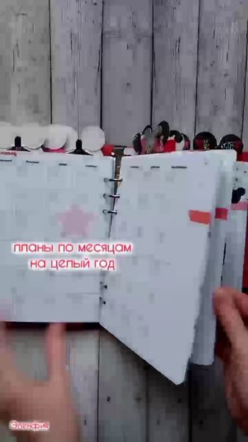 планер Минни