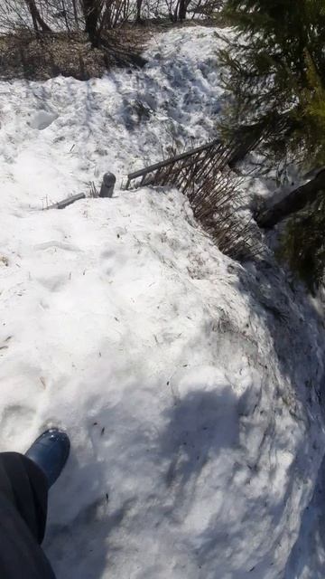 Наше логово