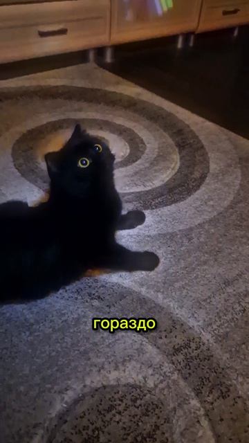 заниматься спортом утомительно 😁