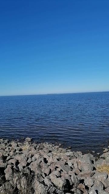 Эй, вау! Финский залииив, привеееет