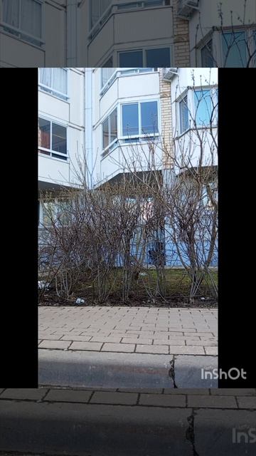 добрые люди!!!!!!!! 😇😇😇😇😇