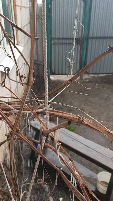 а дождь идёт