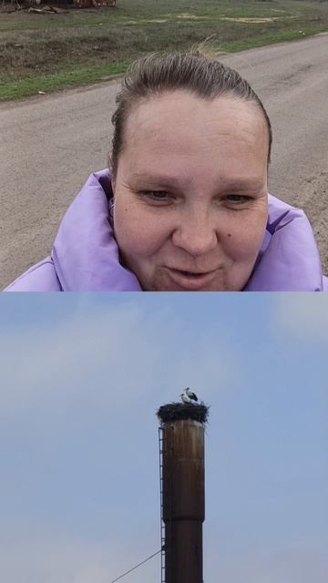 я тут химичила с видео