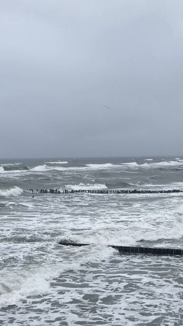 Зеленоградск, путешествие с семьей