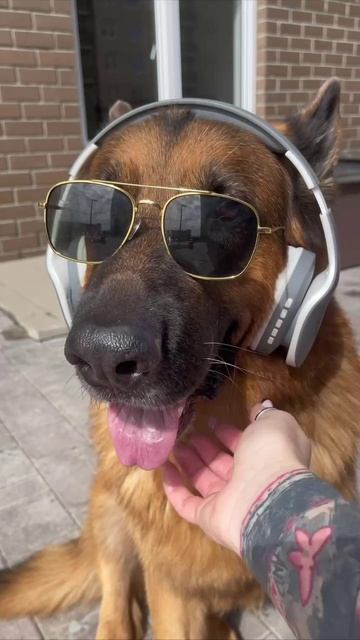 Доброе утречко!+19☀️