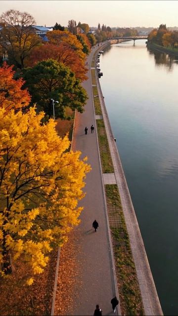 Осеннее утро у реки #осень #пейзаж #природа