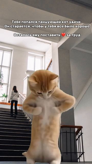 Такому трудяге точно лайк нужно поставить!