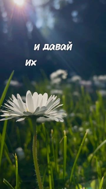 Доброе послание