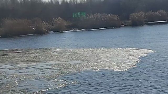 Лёд почти растаял.