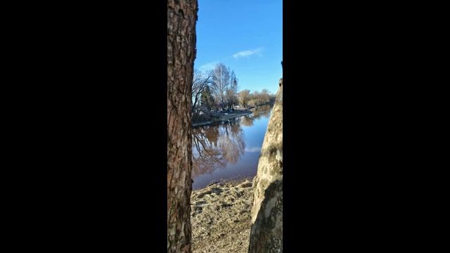 Медитация погружения в любовь