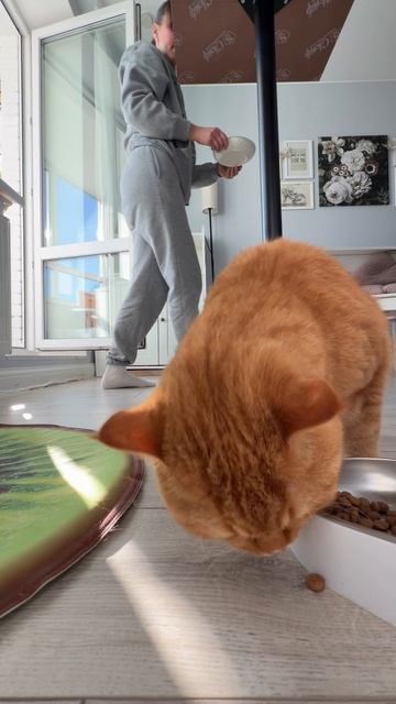 C3E1DC49-82FD-4968-8067-294D6741F3DA