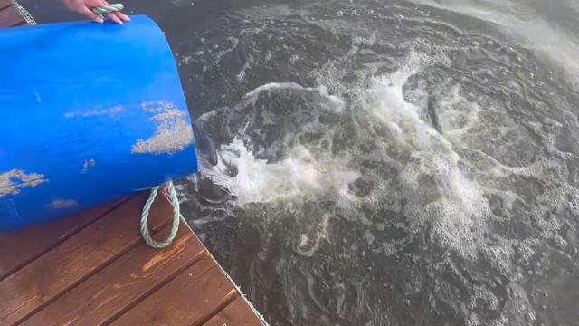 Copy_E8658D49-3B94-4522-9C70-D804941FDEC3