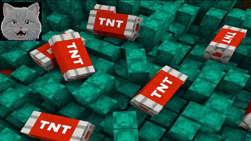 менкравт динт