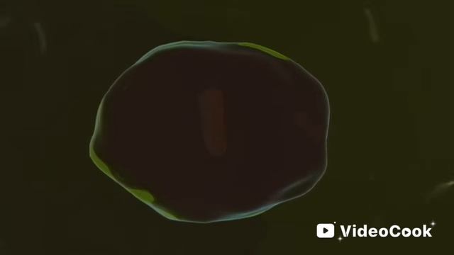 бактерия .mp4