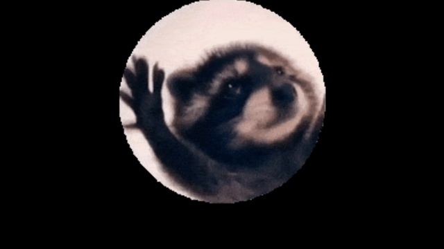 🤣 типичный понедельник