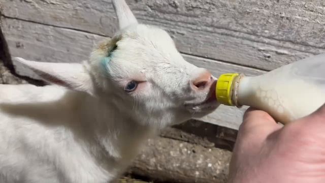 139932bacf635d4228d9432f36032ce7